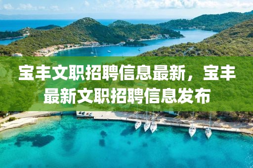寶豐文職招聘信息最新，寶豐最新文職招聘信息發(fā)布