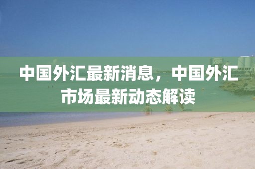 中國外匯最新消息，中國外匯市場最新動態(tài)解讀