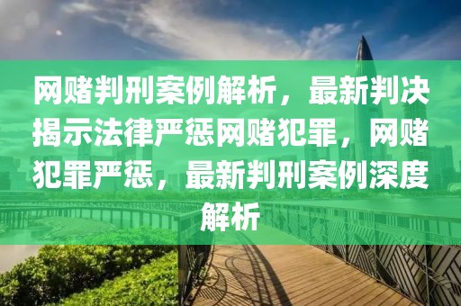 網(wǎng)賭判刑案例解析，最新判決揭示法律嚴懲網(wǎng)賭犯罪，網(wǎng)賭犯罪嚴懲，最新判刑案例深度解析