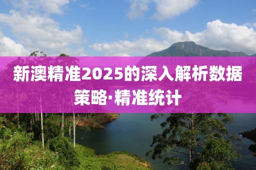 新澳精準2025的深入解析數(shù)據(jù)策略·精準統(tǒng)計