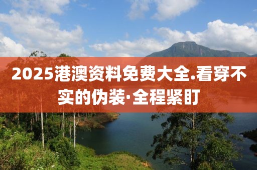 2025港澳資料免費大全.看穿不實的偽裝·全程緊盯
