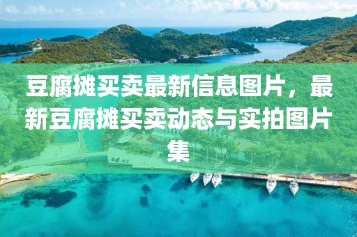 豆腐攤買賣最新信息圖片，最新豆腐攤買賣動態(tài)與實拍圖片集