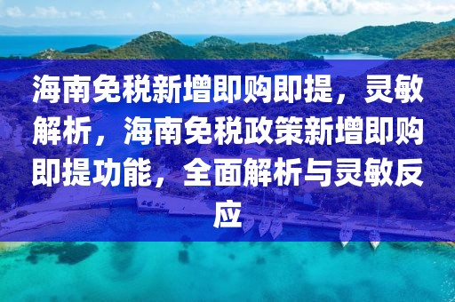 海南免稅新增即購即提，靈敏解析，海南免稅政策新增即購即提功能，全面解析與靈敏反應(yīng)