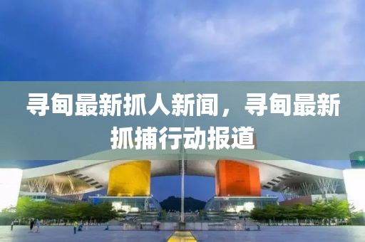 尋甸最新抓人新聞，尋甸最新抓捕行動(dòng)報(bào)道