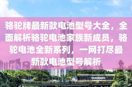 駱駝牌最新款電池型號(hào)大全，全面解析駱駝電池家族新成員，駱駝電池全新系列，一網(wǎng)打盡最新款電池型號(hào)解析