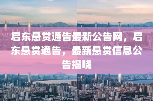 啟東懸賞通告最新公告網(wǎng)，啟東懸賞通告，最新懸賞信息公告揭曉