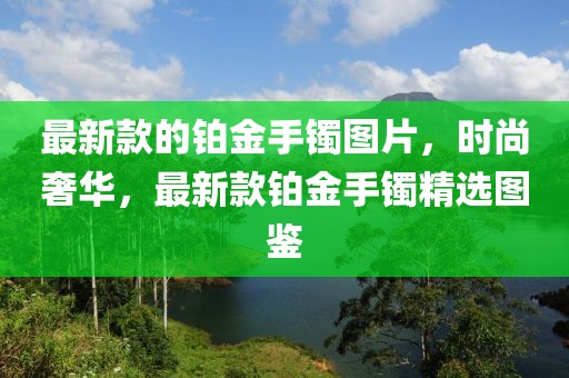 最新款的鉑金手鐲圖片，時(shí)尚奢華，最新款鉑金手鐲精選圖鑒