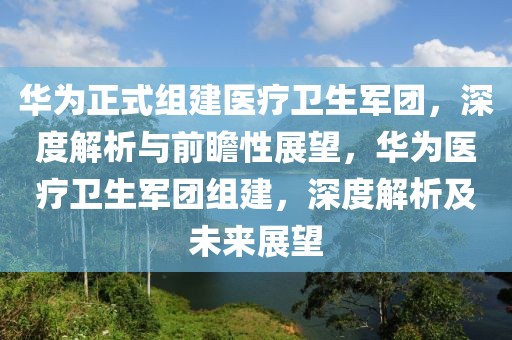 華為正式組建醫(yī)療衛(wèi)生軍團(tuán)，深度解析與前瞻性展望，華為醫(yī)療衛(wèi)生軍團(tuán)組建，深度解析及未來展望