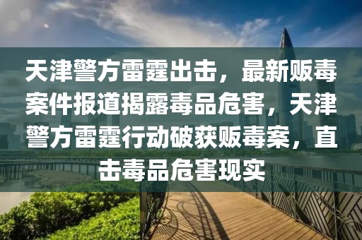 天津警方雷霆出擊，最新販毒案件報(bào)道揭露毒品危害，天津警方雷霆行動(dòng)破獲販毒案，直擊毒品危害現(xiàn)實(shí)
