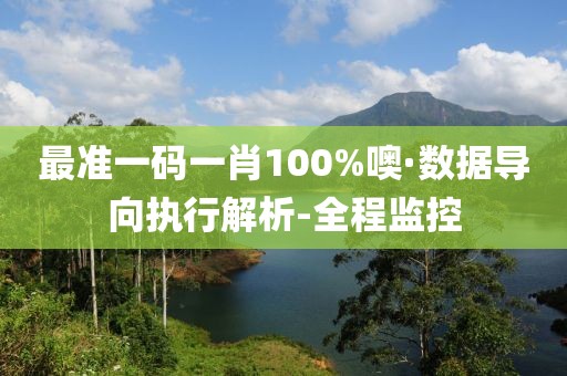 最準一碼一肖100%噢·數(shù)據(jù)導向執(zhí)行解析-全程監(jiān)控
