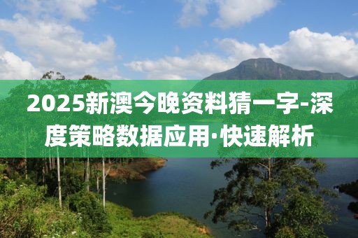 2025新澳今晚資料猜一字-深度策略數據應用·快速解析