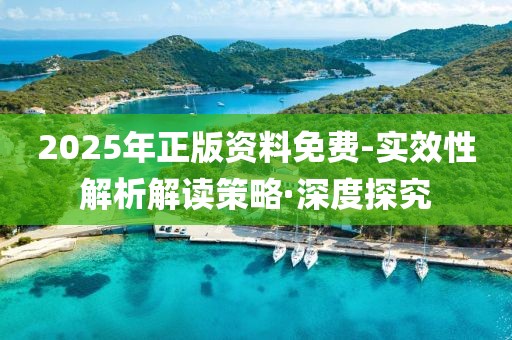 2025年正版資料免費-實效性解析解讀策略·深度探究