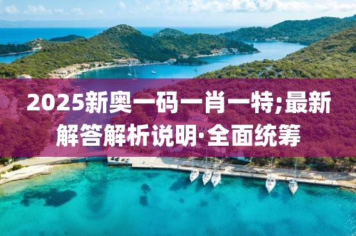 2025新奧一碼一肖一特;最新解答解析說明·全面統(tǒng)籌