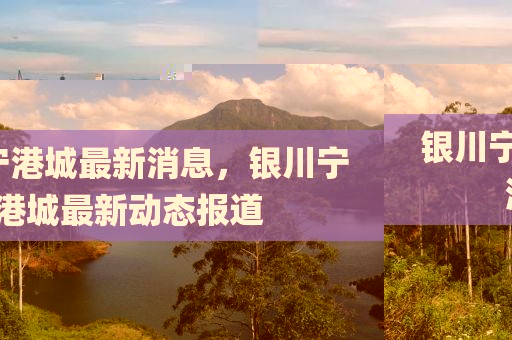 huamei 第23頁