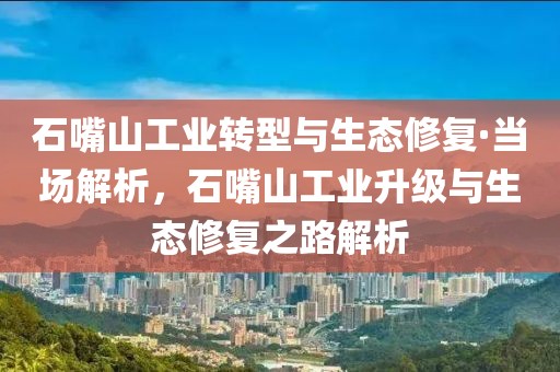 石嘴山工業(yè)轉(zhuǎn)型與生態(tài)修復(fù)·當(dāng)場解析，石嘴山工業(yè)升級與生態(tài)修復(fù)之路解析