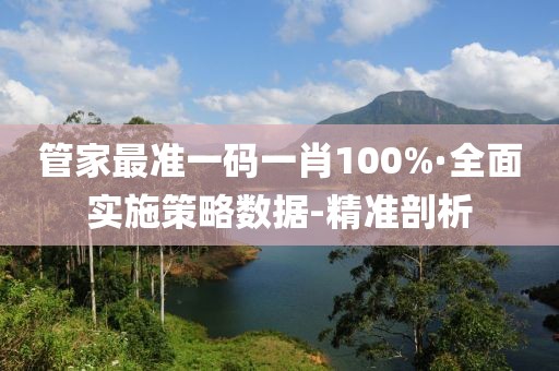 管家最準一碼一肖100%·全面實施策略數(shù)據(jù)-精準剖析