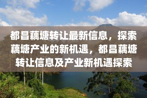 都昌藕塘轉(zhuǎn)讓最新信息，探索藕塘產(chǎn)業(yè)的新機遇，都昌藕塘轉(zhuǎn)讓信息及產(chǎn)業(yè)新機遇探索