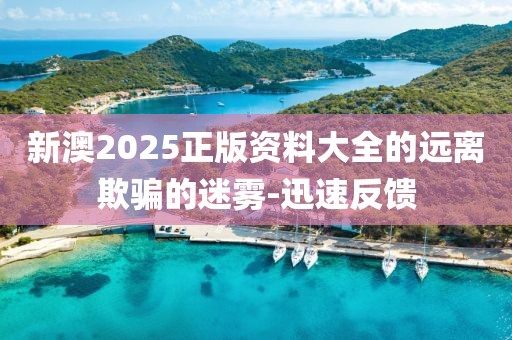 新澳2025正版資料大全的遠(yuǎn)離欺騙的迷霧-迅速反饋