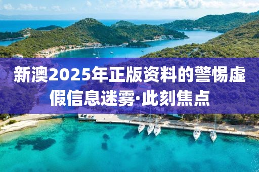 新澳2025年正版資料的警惕虛假信息迷霧·此刻焦點