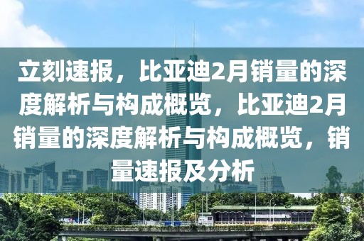 立刻速報，比亞迪2月銷量的深度解析與構(gòu)成概覽，比亞迪2月銷量的深度解析與構(gòu)成概覽，銷量速報及分析