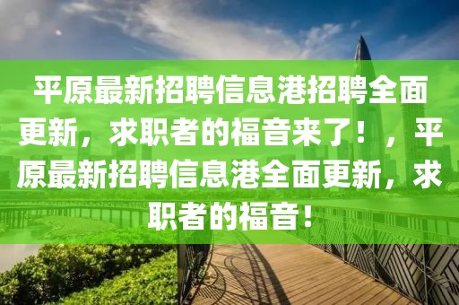 平原最新招聘信息港招聘全面更新，求職者的福音來了！，平原最新招聘信息港全面更新，求職者的福音！