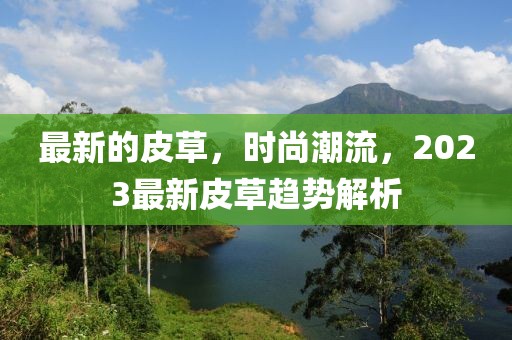 最新的皮草，時(shí)尚潮流，2023最新皮草趨勢(shì)解析