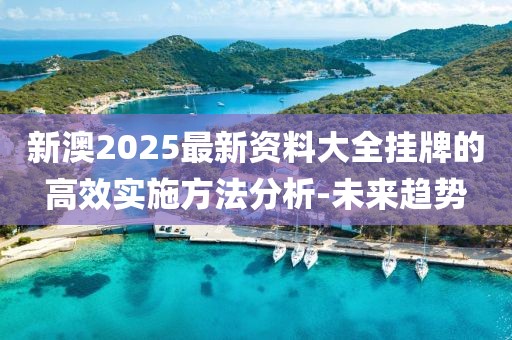 新澳2025最新資料大全掛牌的高效實(shí)施方法分析-未來趨勢