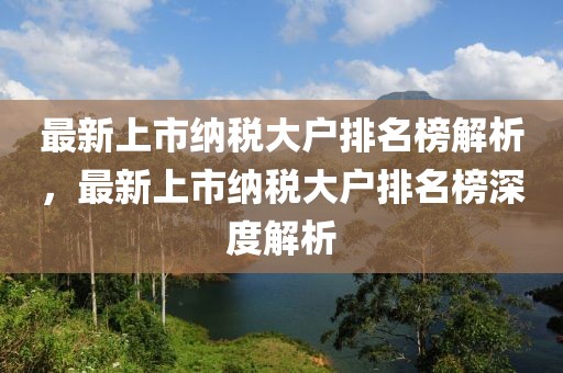 最新上市納稅大戶排名榜解析，最新上市納稅大戶排名榜深度解析