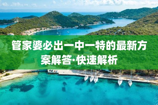 管家婆必出一中一特的最新方案解答·快速解析