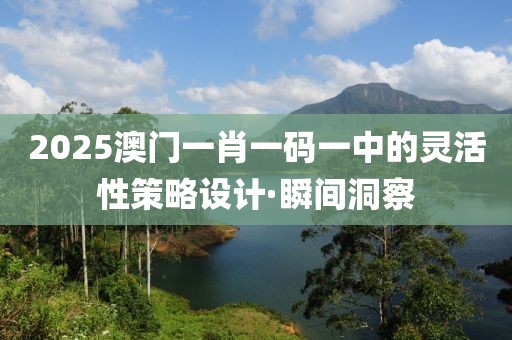 2025澳門一肖一碼一中的靈活性策略設(shè)計(jì)·瞬間洞察