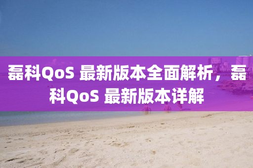 磊科QoS 最新版本全面解析，磊科QoS 最新版本詳解
