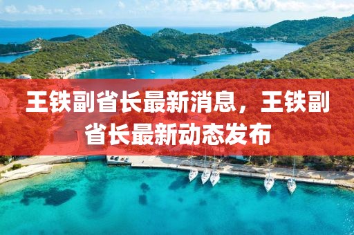 王鐵副省長最新消息，王鐵副省長最新動(dòng)態(tài)發(fā)布