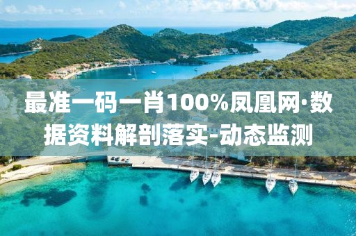 最準(zhǔn)一碼一肖100%鳳凰網(wǎng)·數(shù)據(jù)資料解剖落實(shí)-動(dòng)態(tài)監(jiān)測