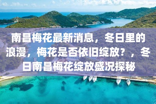 南昌梅花最新消息，冬日里的浪漫，梅花是否依舊綻放？，冬日南昌梅花綻放盛況探秘