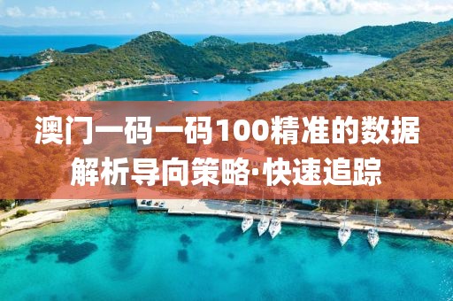 澳門一碼一碼100精準(zhǔn)的數(shù)據(jù)解析導(dǎo)向策略·快速追蹤