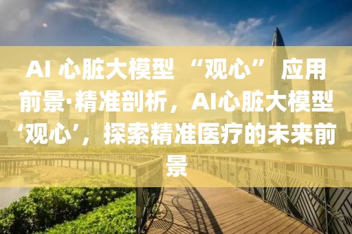 AI 心臟大模型 “觀心” 應(yīng)用前景·精準(zhǔn)剖析，AI心臟大模型‘觀心’，探索精準(zhǔn)醫(yī)療的未來(lái)前景
