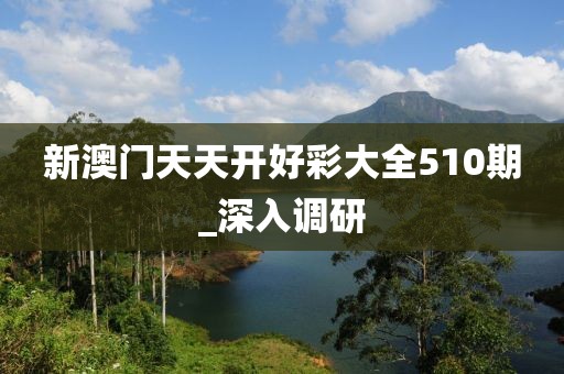 新澳門天天開好彩大全510期_深入調研