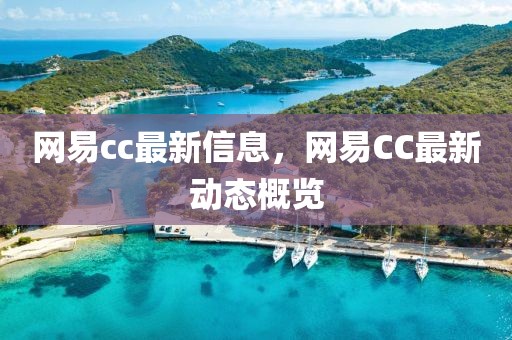 網(wǎng)易cc最新信息，網(wǎng)易CC最新動(dòng)態(tài)概覽