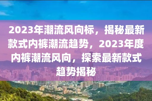 2023年潮流風向標，揭秘最新款式內(nèi)褲潮流趨勢，2023年度內(nèi)褲潮流風向，探索最新款式趨勢揭秘