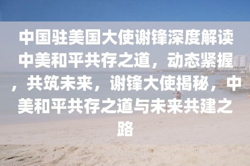 中國(guó)駐美國(guó)大使謝鋒深度解讀中美和平共存之道，動(dòng)態(tài)緊握，共筑未來(lái)，謝鋒大使揭秘，中美和平共存之道與未來(lái)共建之路
