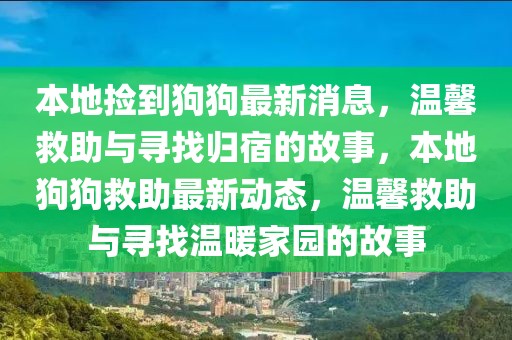本地?fù)斓焦饭纷钚孪ⅲ瑴剀熬戎c尋找歸宿的故事，本地狗狗救助最新動(dòng)態(tài)，溫馨救助與尋找溫暖家園的故事