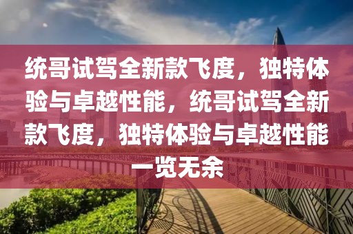 統(tǒng)哥試駕全新款飛度，獨(dú)特體驗(yàn)與卓越性能，統(tǒng)哥試駕全新款飛度，獨(dú)特體驗(yàn)與卓越性能一覽無(wú)余