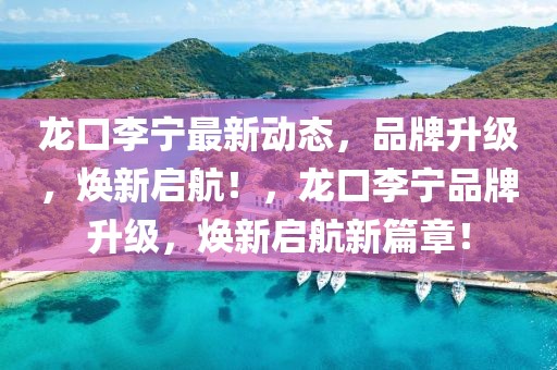 龍口李寧最新動(dòng)態(tài)，品牌升級(jí)，煥新啟航！，龍口李寧品牌升級(jí)，煥新啟航新篇章！