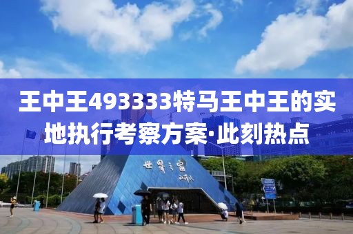 王中王493333特馬王中王的實(shí)地執(zhí)行考察方案·此刻熱點(diǎn)