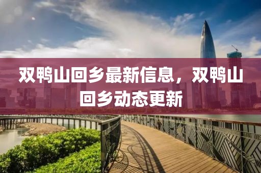 雙鴨山回鄉(xiāng)最新信息，雙鴨山回鄉(xiāng)動(dòng)態(tài)更新