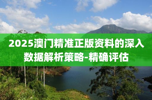 2025澳門精準(zhǔn)正版資料的深入數(shù)據(jù)解析策略-精確評(píng)估