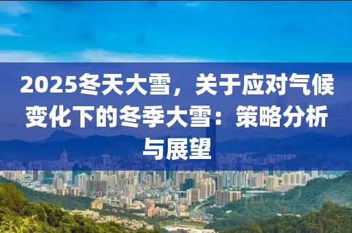 2025冬天大雪，關(guān)于應(yīng)對氣候變化下的冬季大雪：策略分析與展望