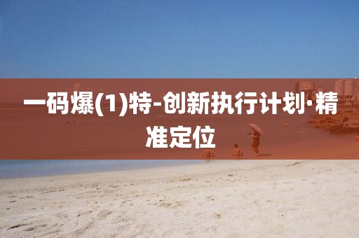 一碼爆(1)特-創(chuàng)新執(zhí)行計劃·精準(zhǔn)定位