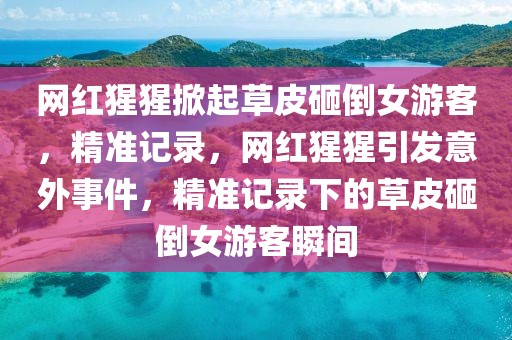 網(wǎng)紅猩猩掀起草皮砸倒女游客，精準(zhǔn)記錄，網(wǎng)紅猩猩引發(fā)意外事件，精準(zhǔn)記錄下的草皮砸倒女游客瞬間