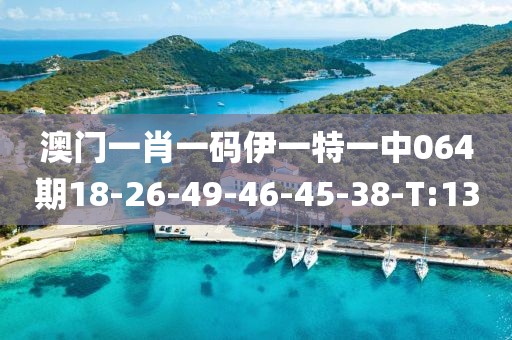 澳門一肖一碼伊一特一中064期18-26-49-46-45-38-T:13